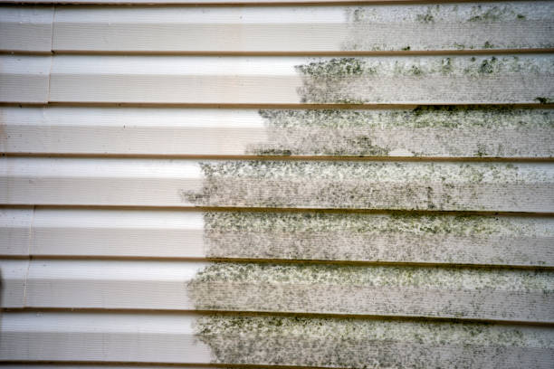 Best Yard Waste Removal  in Henderson, LA