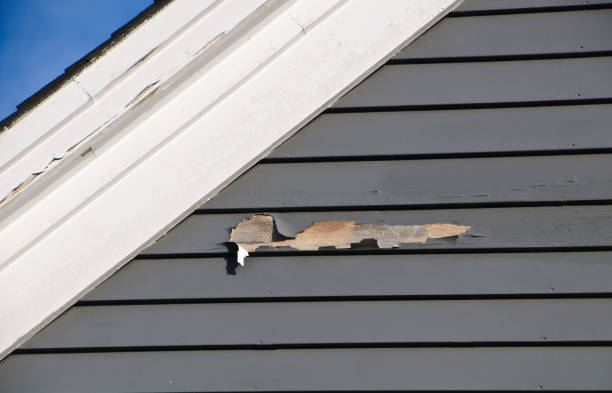 Best Property Management Cleanouts  in Henderson, LA